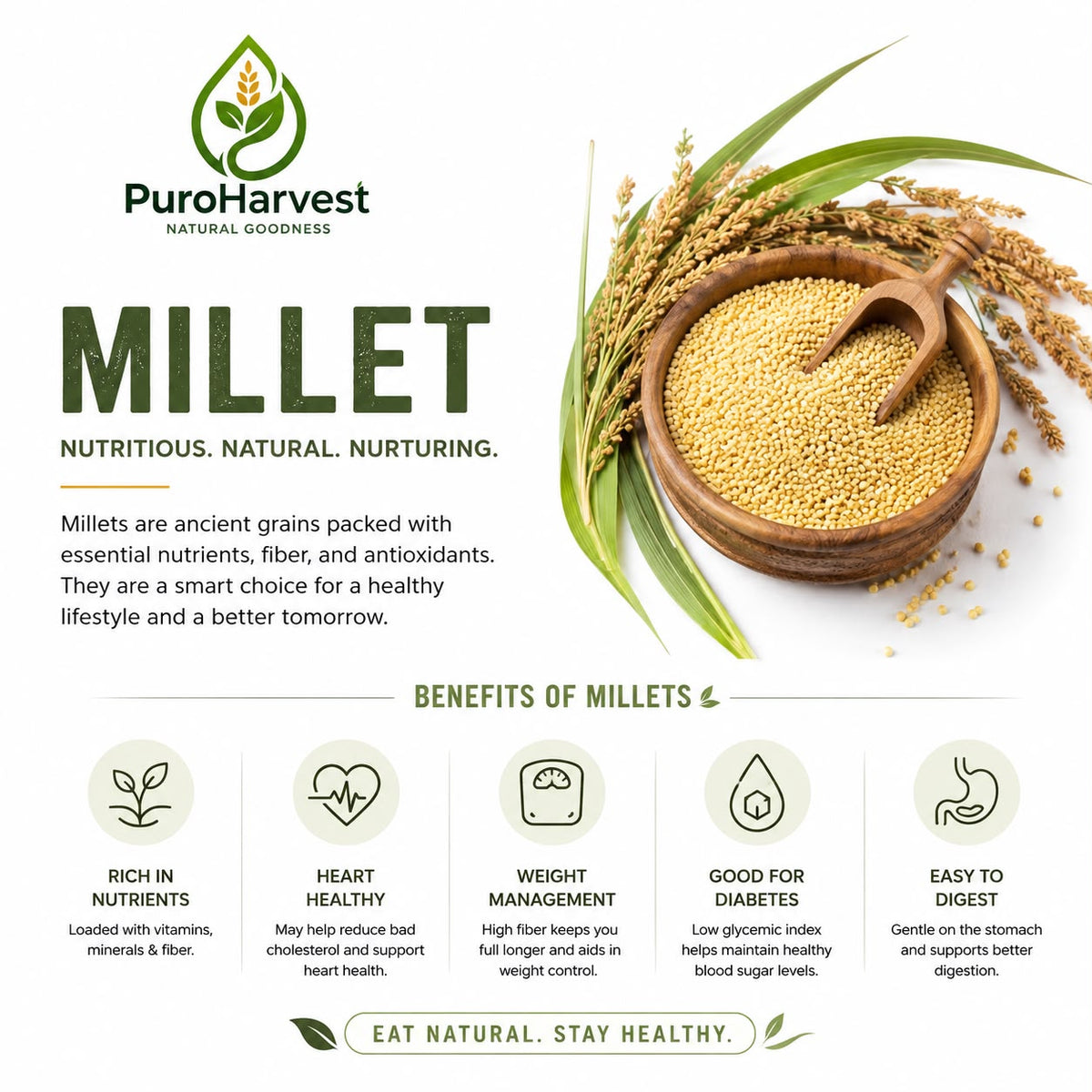 Millets: Nature’s Superfood