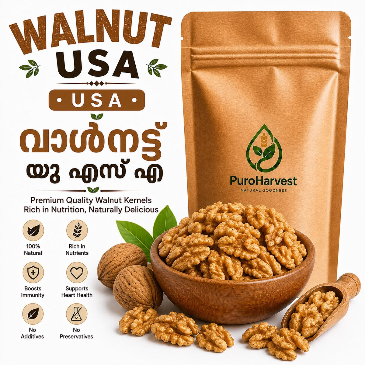 Walnut USA – Premium Quality Walnut Kernels